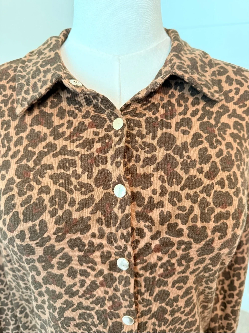 Brown Leopard Print Snap-Up Shirt